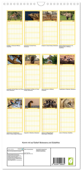 Komm mit auf Safari! Botswana und Südafrika (CALVENDO Familienplaner 2027)