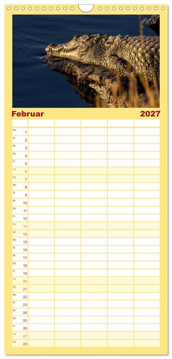 Komm mit auf Safari! Botswana und Südafrika (CALVENDO Familienplaner 2027)