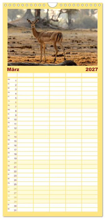 Komm mit auf Safari! Botswana und Südafrika (CALVENDO Familienplaner 2027)