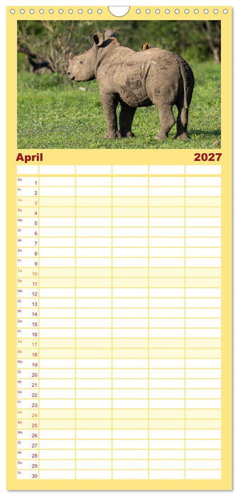 Komm mit auf Safari! Botswana und Südafrika (CALVENDO Familienplaner 2027)