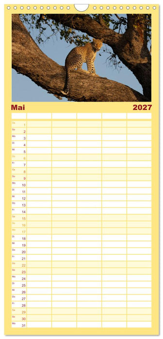 Komm mit auf Safari! Botswana und Südafrika (CALVENDO Familienplaner 2027)