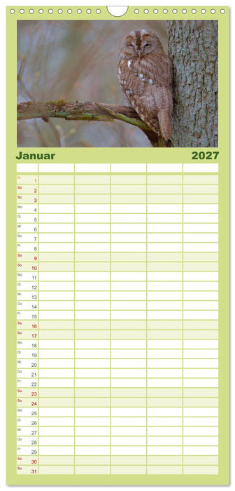 geliebte Waldgeister (CALVENDO Familienplaner 2027)