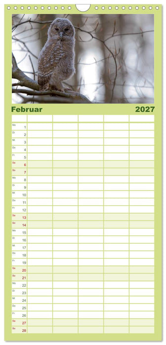 geliebte Waldgeister (CALVENDO Familienplaner 2027)