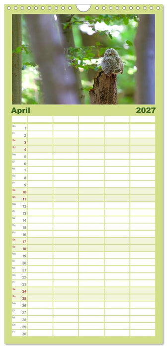 geliebte Waldgeister (CALVENDO Familienplaner 2027)