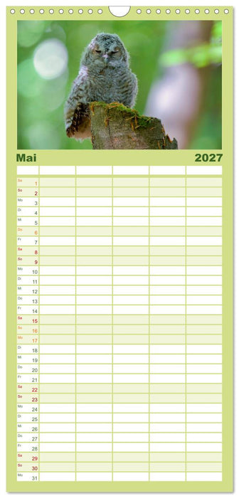 geliebte Waldgeister (CALVENDO Familienplaner 2027)