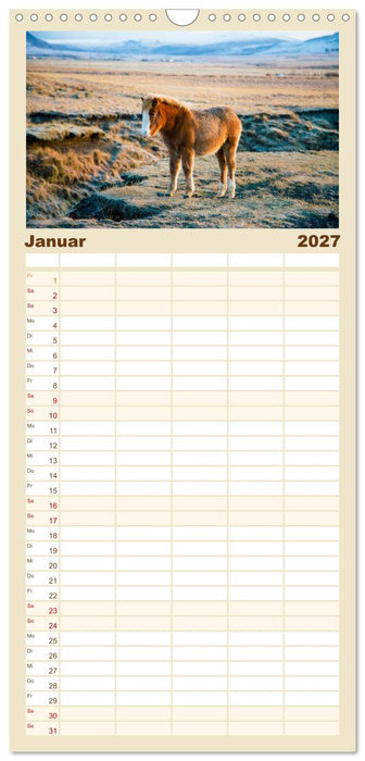 Islandpferde - Die süßen Pferde im Norden. (CALVENDO Familienplaner 2027)