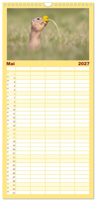Zauberhafte Ziesel (CALVENDO Familienplaner 2027)