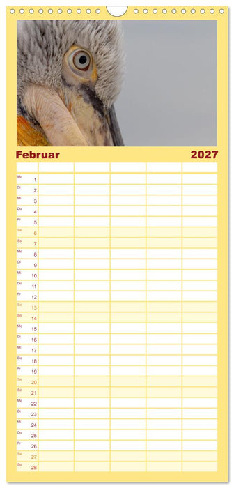 Krauskopfpelikane (CALVENDO Familienplaner 2027)