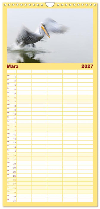 Krauskopfpelikane (CALVENDO Familienplaner 2027)