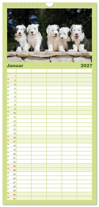 In der Kinderstube bei Familie Bobtail (CALVENDO Familienplaner 2027)