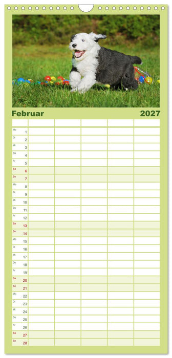 In der Kinderstube bei Familie Bobtail (CALVENDO Familienplaner 2027)