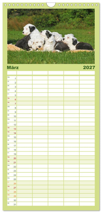 In der Kinderstube bei Familie Bobtail (CALVENDO Familienplaner 2027)