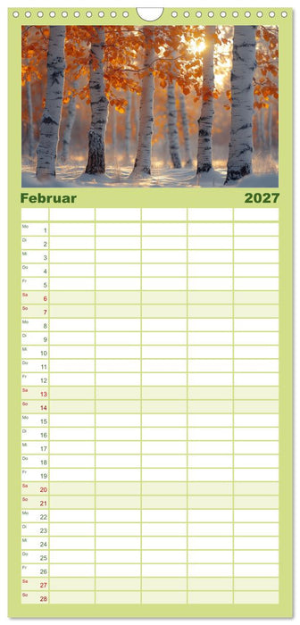 Birkenzauber (CALVENDO Familienplaner 2027)