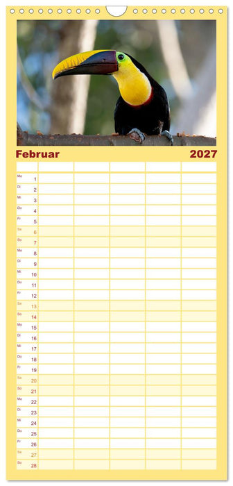 Tropische Vögel Costa Ricas (CALVENDO Familienplaner 2027)