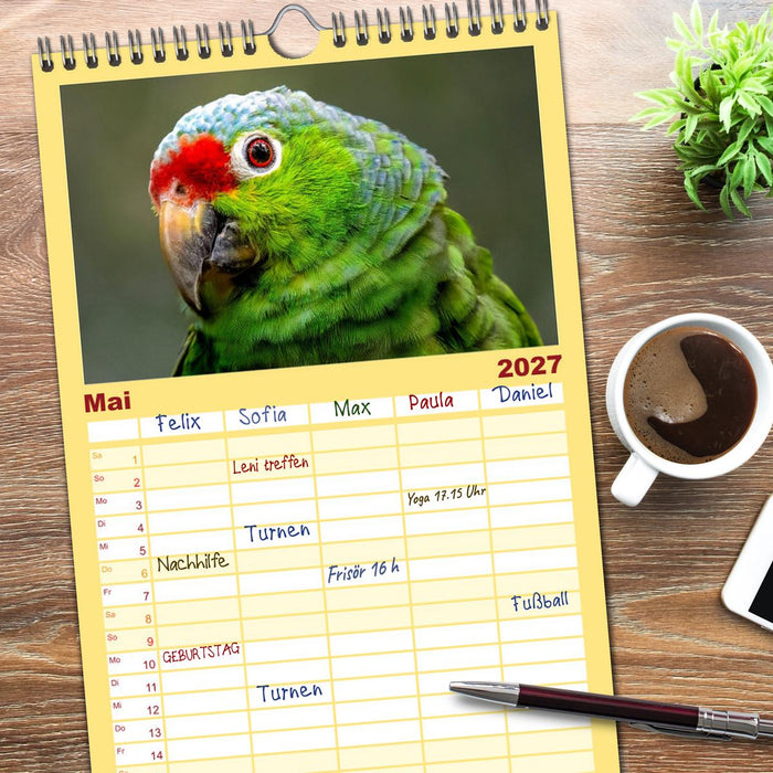 Tropische Vögel Costa Ricas (CALVENDO Familienplaner 2027)
