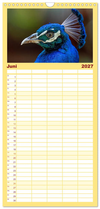 Tropische Vögel Costa Ricas (CALVENDO Familienplaner 2027)