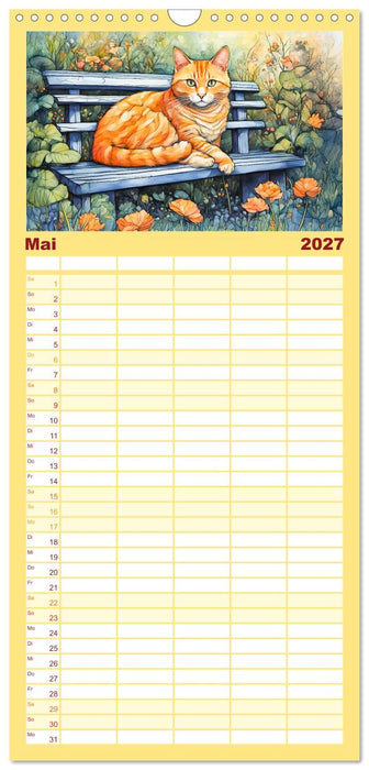 Katzenzauber - Katzenkalender mit stimmungsvollen Bildern (CALVENDO Familienplaner 2027)