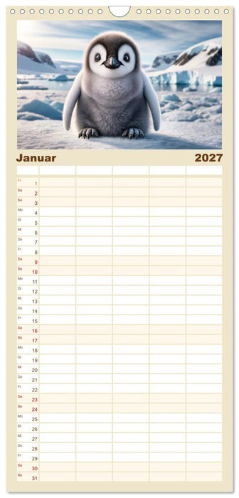 Baby-Tiere (CALVENDO Familienplaner 2027)
