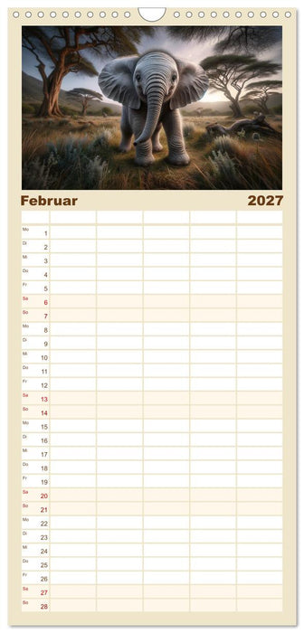 Baby-Tiere (CALVENDO Familienplaner 2027)