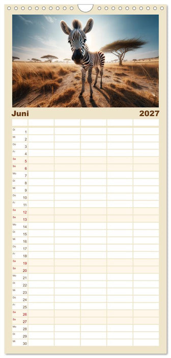 Baby-Tiere (CALVENDO Familienplaner 2027)