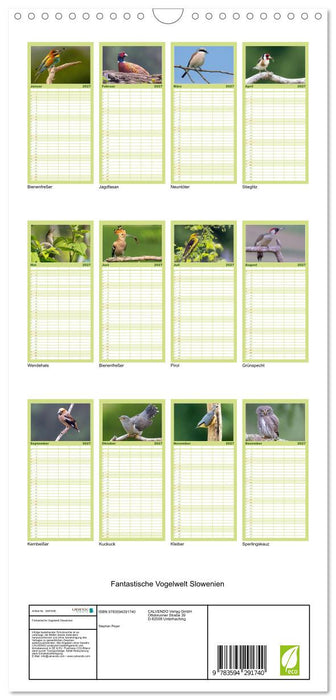 Fantastische Vogelwelt Slowenien (CALVENDO Familienplaner 2027)