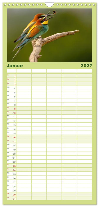 Fantastische Vogelwelt Slowenien (CALVENDO Familienplaner 2027)