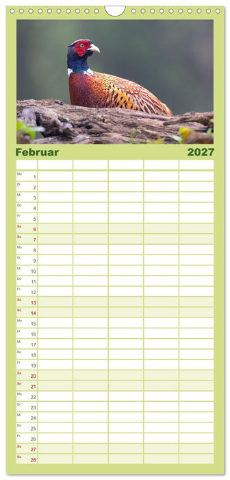 Fantastische Vogelwelt Slowenien (CALVENDO Familienplaner 2027)