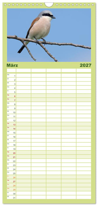 Fantastische Vogelwelt Slowenien (CALVENDO Familienplaner 2027)