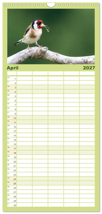 Fantastische Vogelwelt Slowenien (CALVENDO Familienplaner 2027)