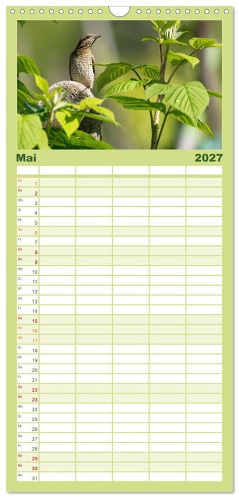 Fantastische Vogelwelt Slowenien (CALVENDO Familienplaner 2027)