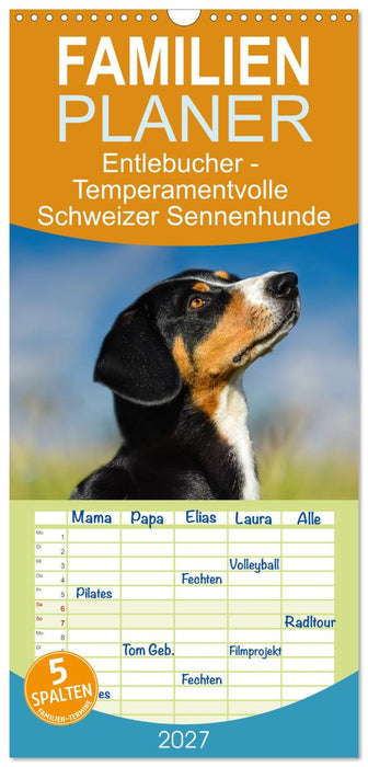 Entlebucher - Temperamentvolle Schweizer Sennenhunde (CALVENDO Familienplaner 2027)