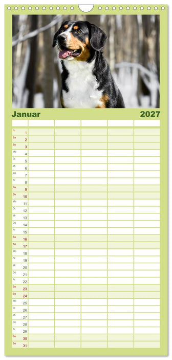 Entlebucher - Temperamentvolle Schweizer Sennenhunde (CALVENDO Familienplaner 2027)