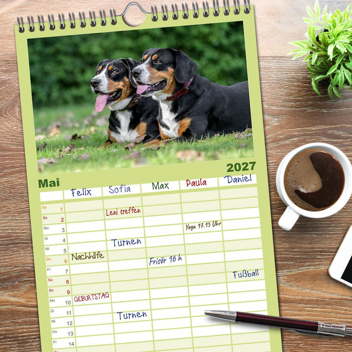 Entlebucher - Temperamentvolle Schweizer Sennenhunde (CALVENDO Familienplaner 2027)
