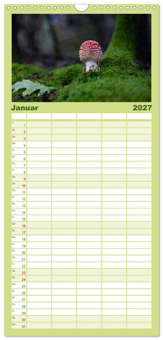 Wilde Pilze: Ein Kalender für Naturbegeisterte (CALVENDO Familienplaner 2027)