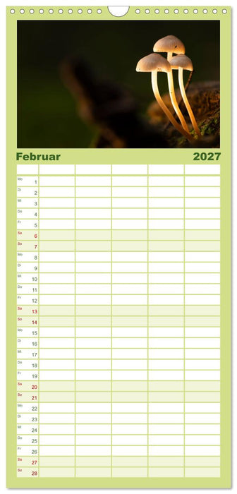 Wilde Pilze: Ein Kalender für Naturbegeisterte (CALVENDO Familienplaner 2027)