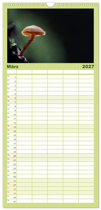 Wilde Pilze: Ein Kalender für Naturbegeisterte (CALVENDO Familienplaner 2027)