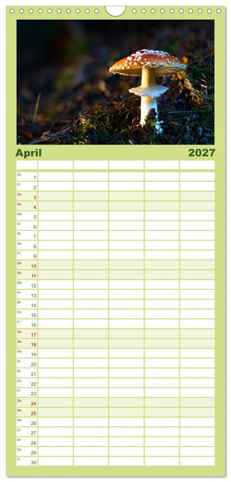 Wilde Pilze: Ein Kalender für Naturbegeisterte (CALVENDO Familienplaner 2027)