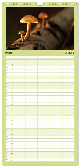 Wilde Pilze: Ein Kalender für Naturbegeisterte (CALVENDO Familienplaner 2027)