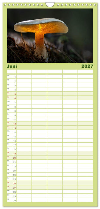 Wilde Pilze: Ein Kalender für Naturbegeisterte (CALVENDO Familienplaner 2027)