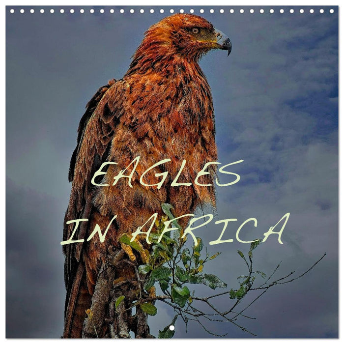 Eagles in Africa (CALVENDO Monthly Calendar 2027)