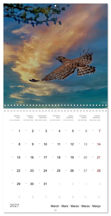 Eagles in Africa (CALVENDO Monthly Calendar 2027)