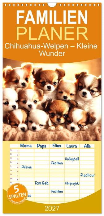Chihuahua-Welpen – Kleine Wunder (CALVENDO Familienplaner 2027)