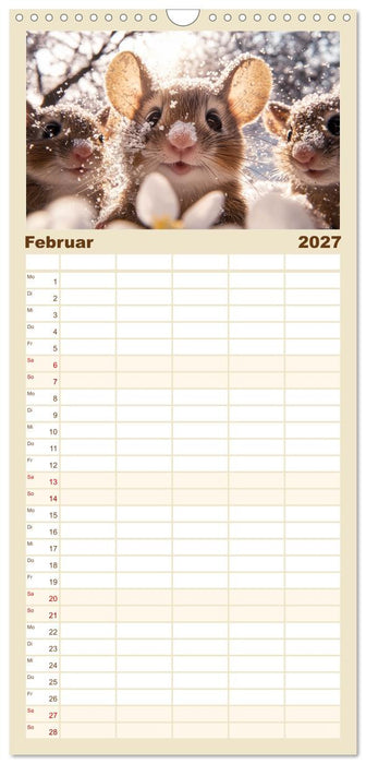 Augen wie Knöpfe (CALVENDO Familienplaner 2027)