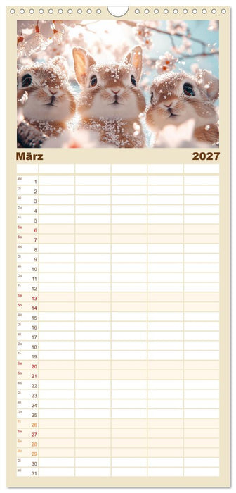 Augen wie Knöpfe (CALVENDO Familienplaner 2027)