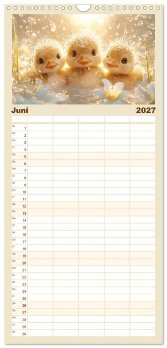 Augen wie Knöpfe (CALVENDO Familienplaner 2027)