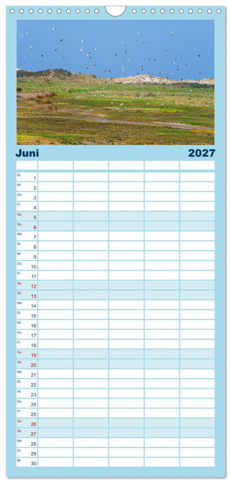 Buntes und blühendes Borkum (CALVENDO Familienplaner 2027)