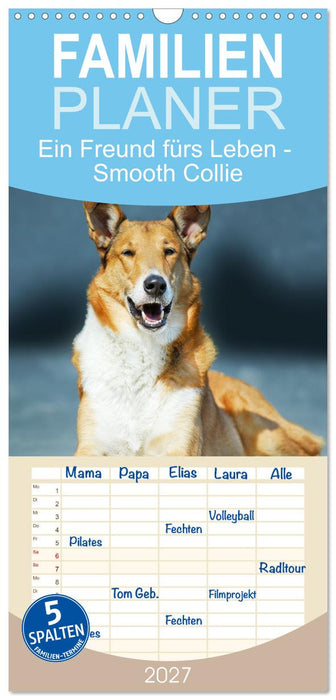 Ein Freund fürs Leben - Smooth Collie (CALVENDO Familienplaner 2027)