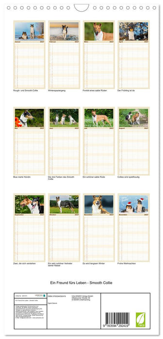 Ein Freund fürs Leben - Smooth Collie (CALVENDO Familienplaner 2027)