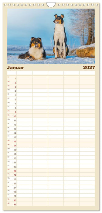Ein Freund fürs Leben - Smooth Collie (CALVENDO Familienplaner 2027)