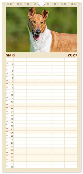 Ein Freund fürs Leben - Smooth Collie (CALVENDO Familienplaner 2027)